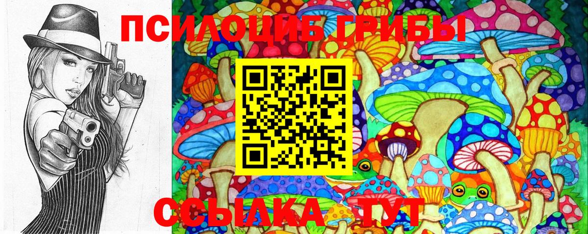 Ивантеевка  Галлюциногенные грибы Cubensis  Вход с VPN 
