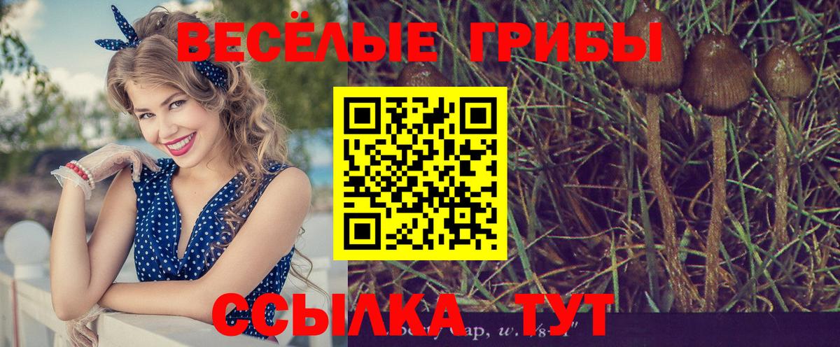 Галлюциногенные грибы мицелий Ивантеевка